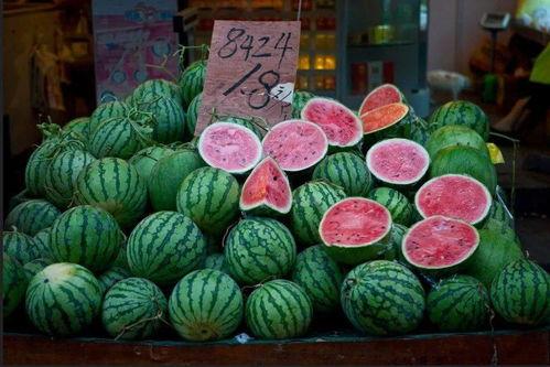 金乡吃瓜头条,揭秘当地热门事件背后的真相与趣味